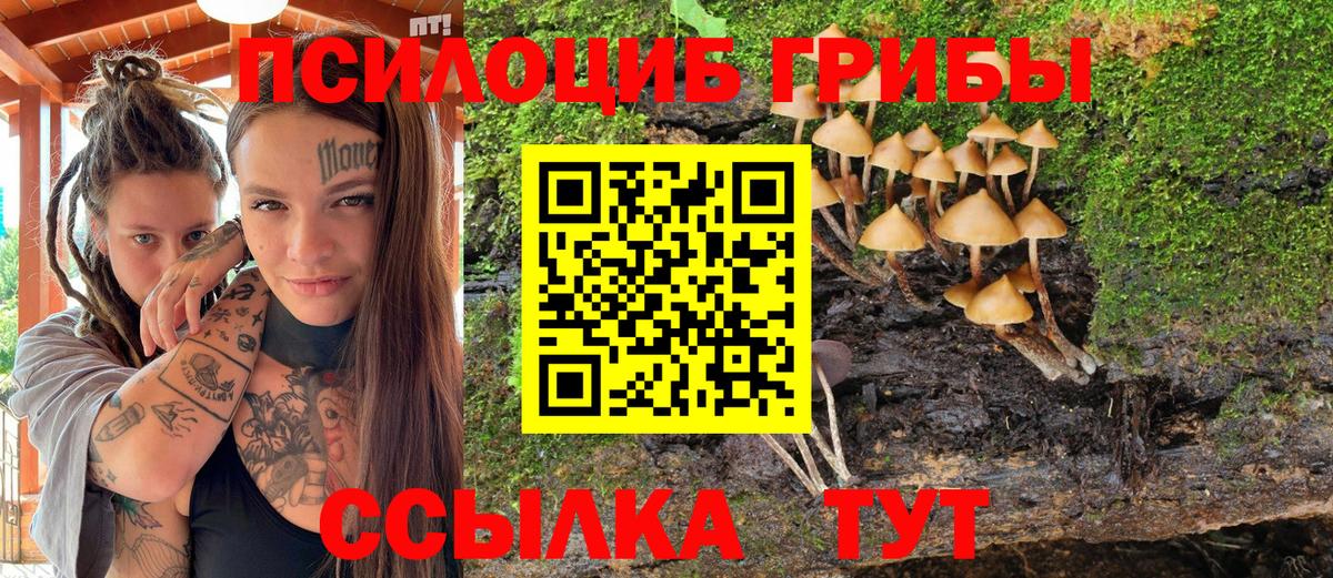 Галлюциногенные грибы Cubensis  Вход с VPN  Владимир 