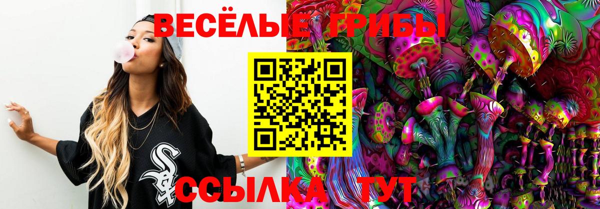 Галлюциногенные грибы GOLDEN TEACHER Владимир